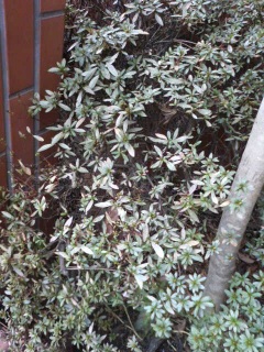 ���[����ĂˁI