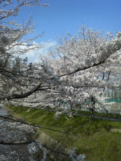 ����͂���