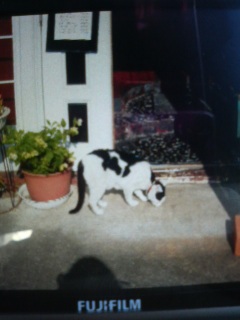 ����������