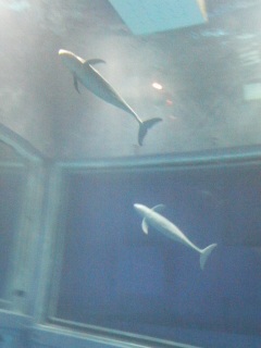 ����񂵂��