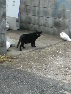 �����Ă�����Ⴂ