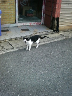 �܂�����