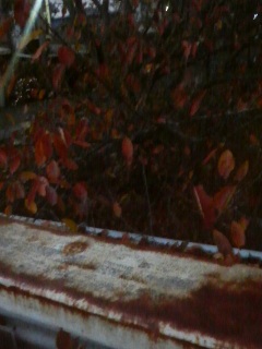 �ǂ���������