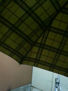 ���肪����