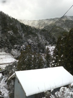 �܂����낯