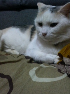 �܂��܂������̈��L�̂͂Ȃ�