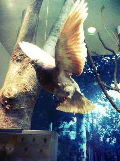 �m���Ă܂����H