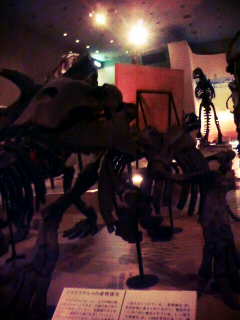 �Ȃ��̉���