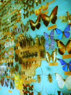 ���I���I