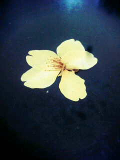 �������I