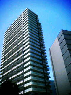 �U�E�����