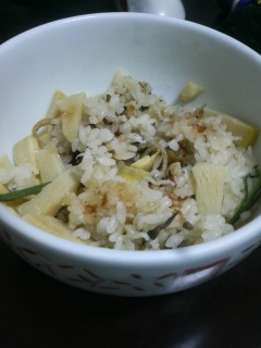 ���������܂�