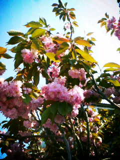 �ق�����