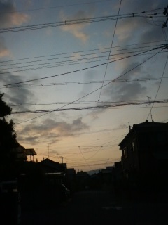 �T���R�V��