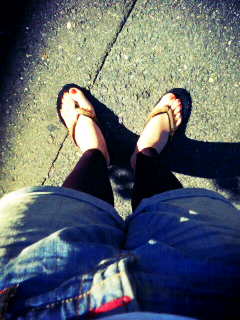 �V�C���ǂ��B