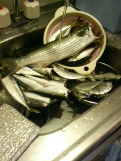 �搶���̂ˁA