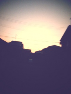 �����T���R�O���߂��̋�͗l