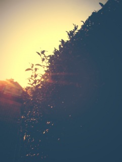 �����A�������`