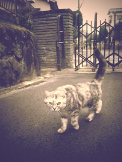 �˂��݂���