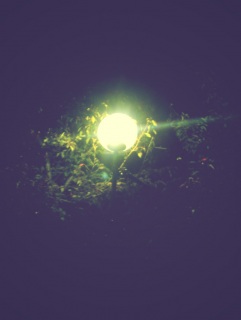 �C��t����I