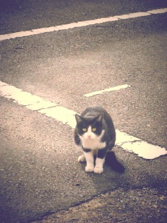 ����E�E�E�H