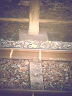 ����̒��̕��i