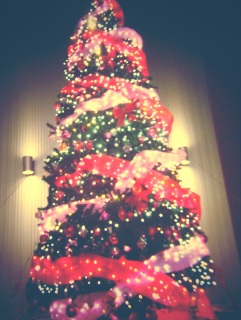 �C�����V����