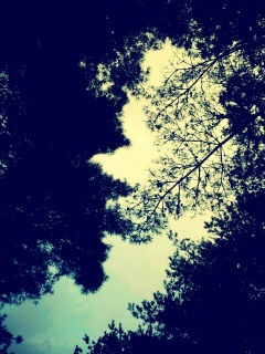 �ꌎ��\����