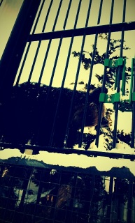 ���Ԃ���