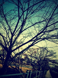 �������Ă�