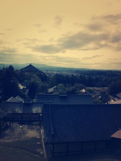 �������������Ă���