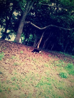 �L�̂������