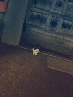 ��������