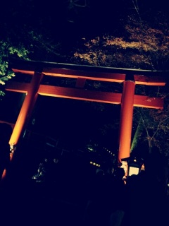 �g�t�̃g���l��