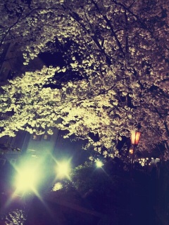 �t������