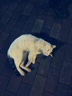 ����[�����