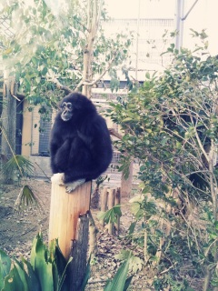 �N���}�e�B