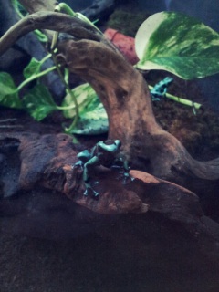 ������₷������