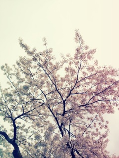 �܂��l����������