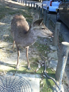 �����[�I