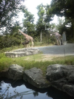 �]�E������