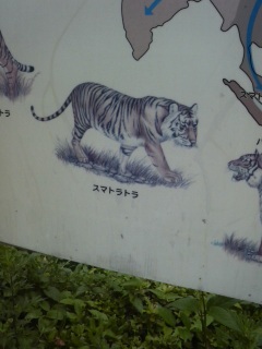 ����ė�������